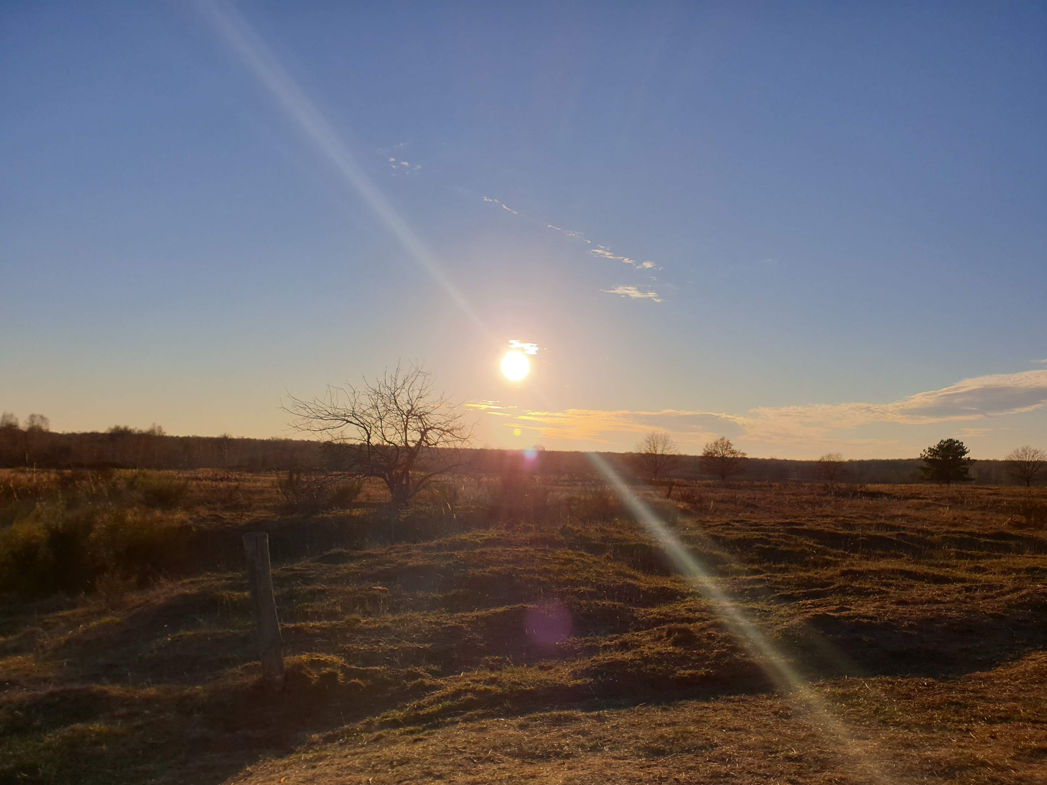 Döberitze Heide